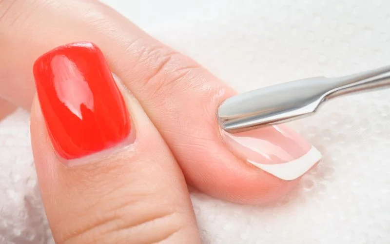 Cuticle