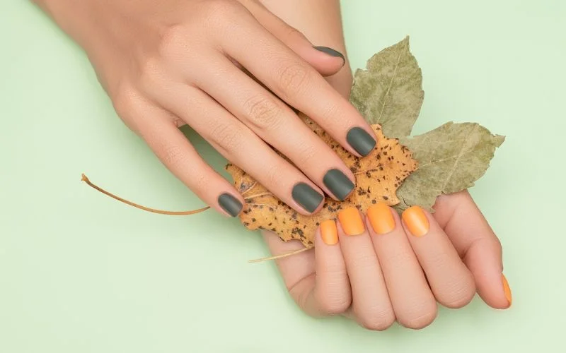 leaf