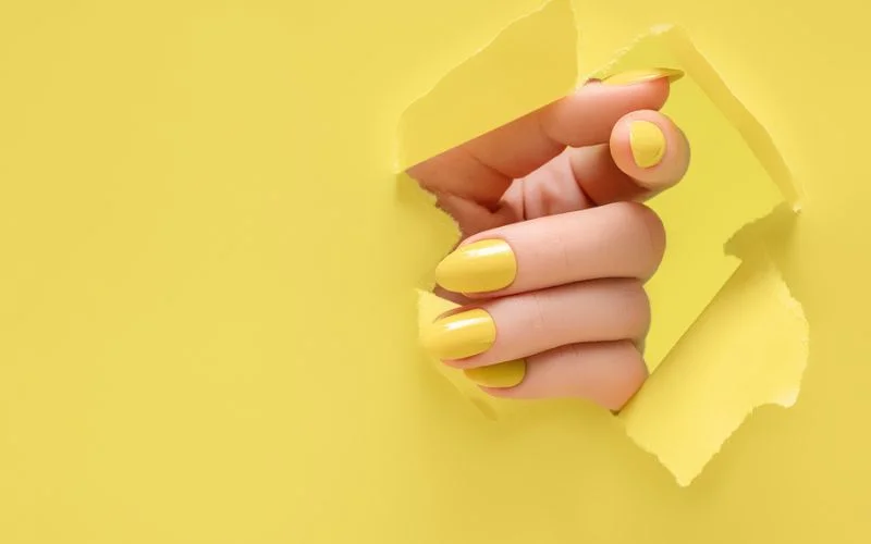 cuticles