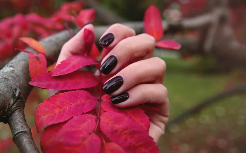 Burgundy Nail Design