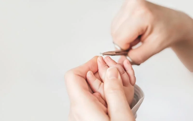 Cutting